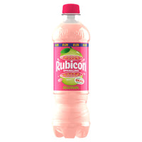 Rubicon Soft Drinks 500ml × 12 × 1