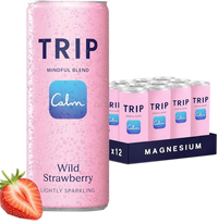 Trip Mindful Blend 12x500ml