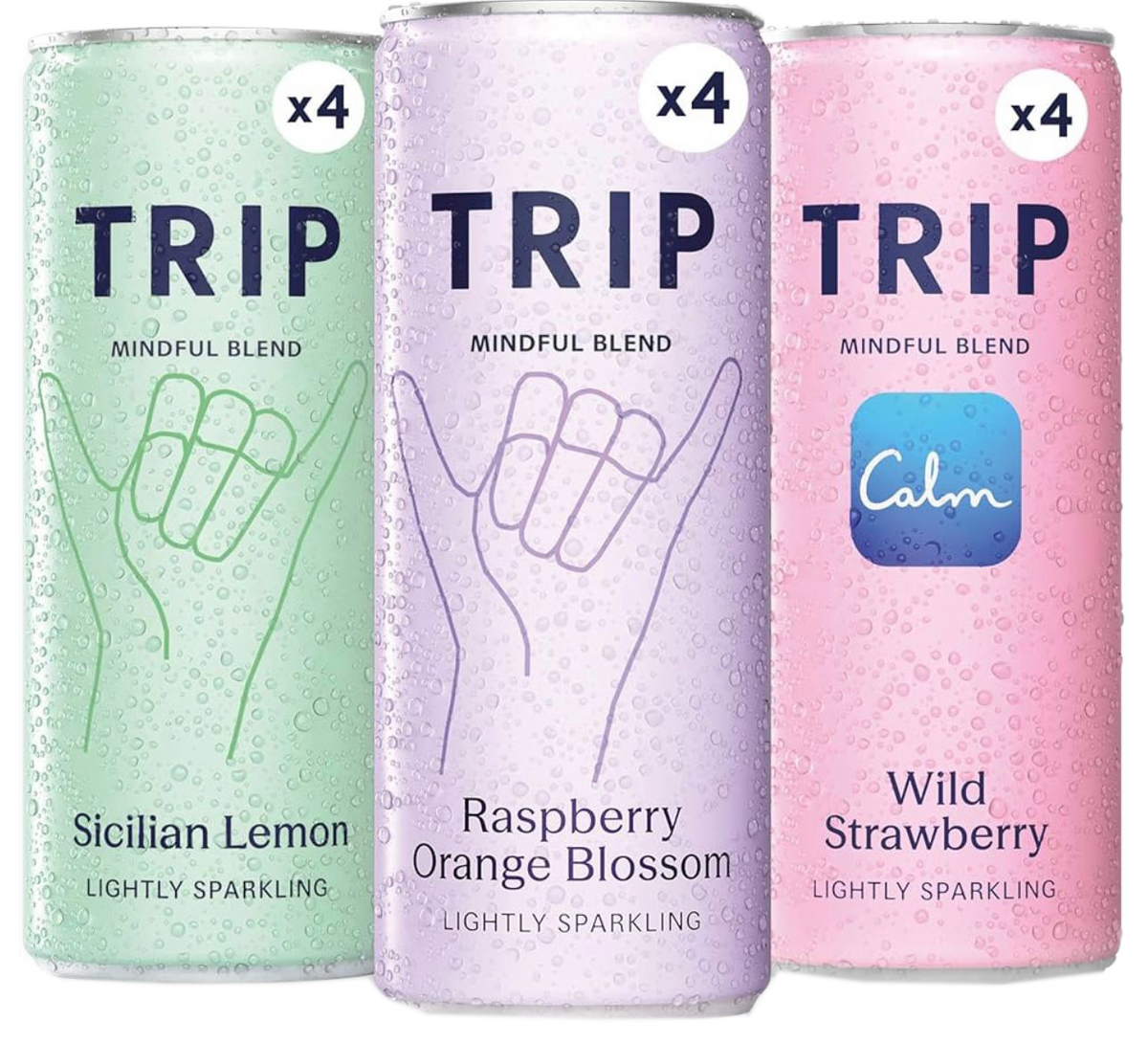 Trip Mindful Blend 12x500ml