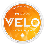 Velo Nicotine Pouches